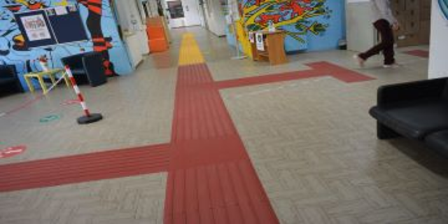Inaugurato il percorso tattile per ipovedenti al Liceo Pascal di Pomezia. Il Sindaco: “Un esempio di scuola inclusiva”