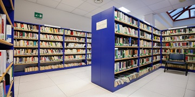 biblioteca mini
