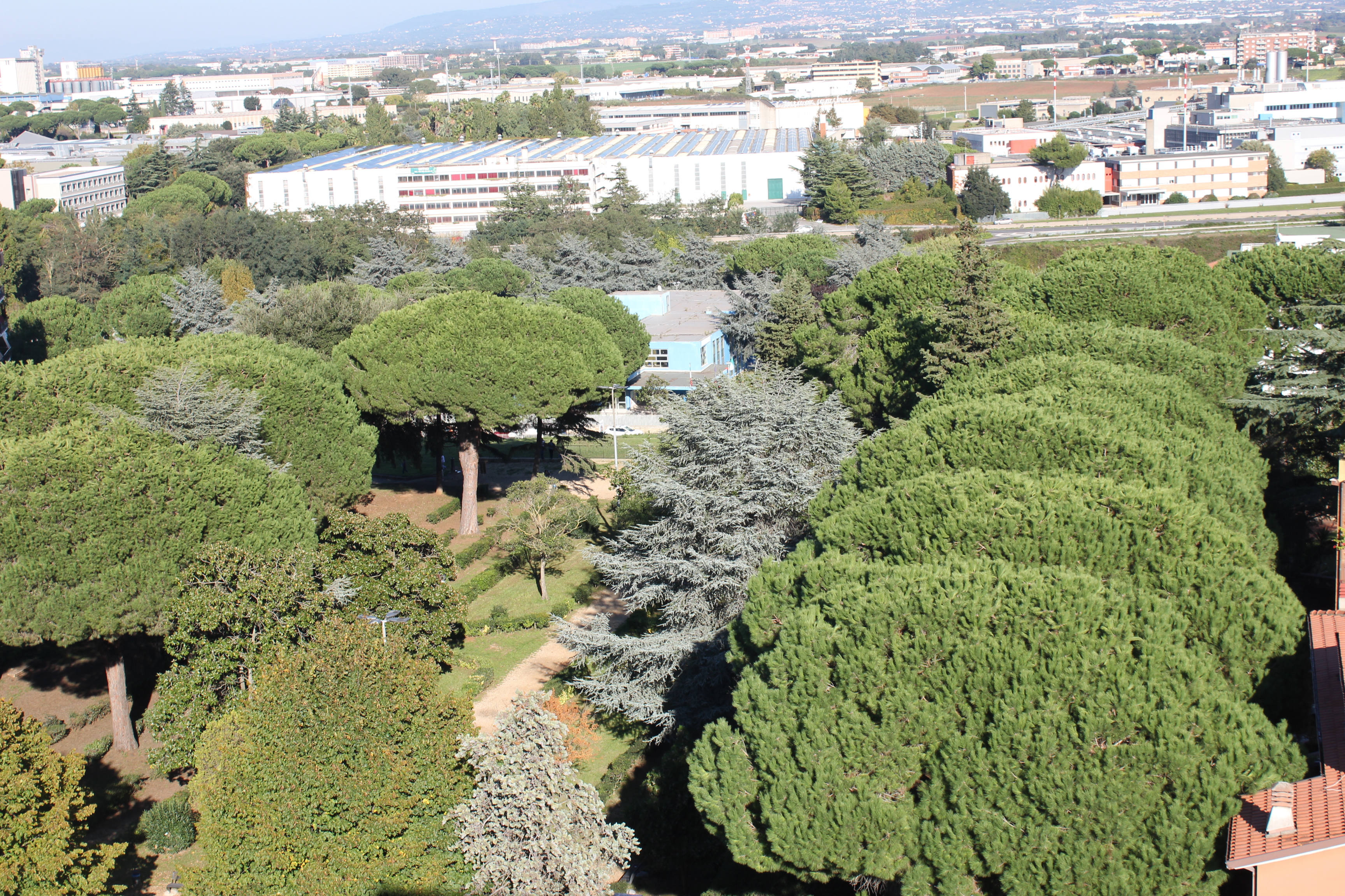 GIARDINI_PETRUCCI