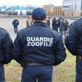Guardie zoofile. Avviso pubblico, a titolo gratuito, per la ricerca di una associazione di volontariato