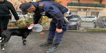 Microchip cani, al via controlli della Polizia locale