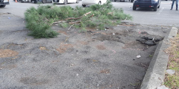 Piazza San Benedetto da Norcia, al via lavori di riqualificazione dell’area parcheggio. In arrivo platea rialzata e parapedoni