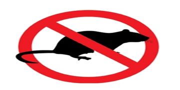  Avviso derattizzazione strutture scolastiche