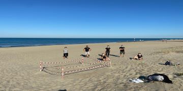 Tartaruga marina Caretta Caretta depone 90 uova sulla spiaggia di Torvaianica. Messo in sicurezza il nido ed emessa ordinanza per la salvaguardia