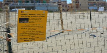 Tartaruga marina Caretta Caretta a Torvaianica, prosegue il monitoraggio del nido. Tartalazio cerca volontari per la vigilanza notturna