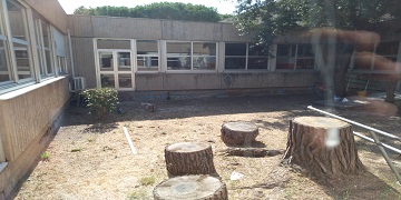 Emergenza Covid, rientro a scuola in piena sicurezza. Lavori di adeguamento della scuola primaria “Trilussa”