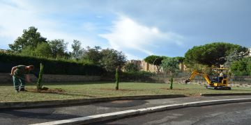 Studenti del Liceo Pascal donano 3 alberi al Comune di Pomezia: messi a dimora nell'area verde di via Mazzini