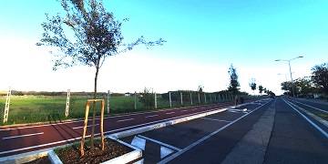 21 novembre. Giornata nazionale degli Alberi, il Comune mette a dimora 130 nuove piante