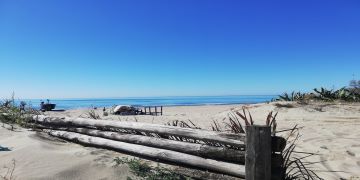 Nuovo regolamento del Verde pubblico e privato del Comune di Pomezia approvato all'unanimità in Consiglio comunale