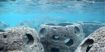 Intervento integrato per la difesa costiera di Torvaianica, il Comune di Pomezia ottiene un finanziamento regionale di 1.250.000 euro