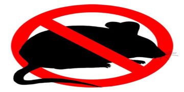 Derattizzazione sul territorio comunale