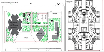 “Torvaianica Cresce”, la Giunta approva un programma di interventi da 15 milioni di euro per la riqualificazione del versante nord del litorale