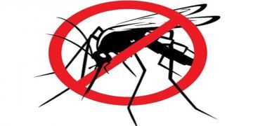 Campagna contro le zanzare su tutto il territorio comunale
